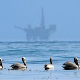 Offshore oil rig drilling while birds watch.