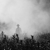 A man walks through a fog of pesticide.