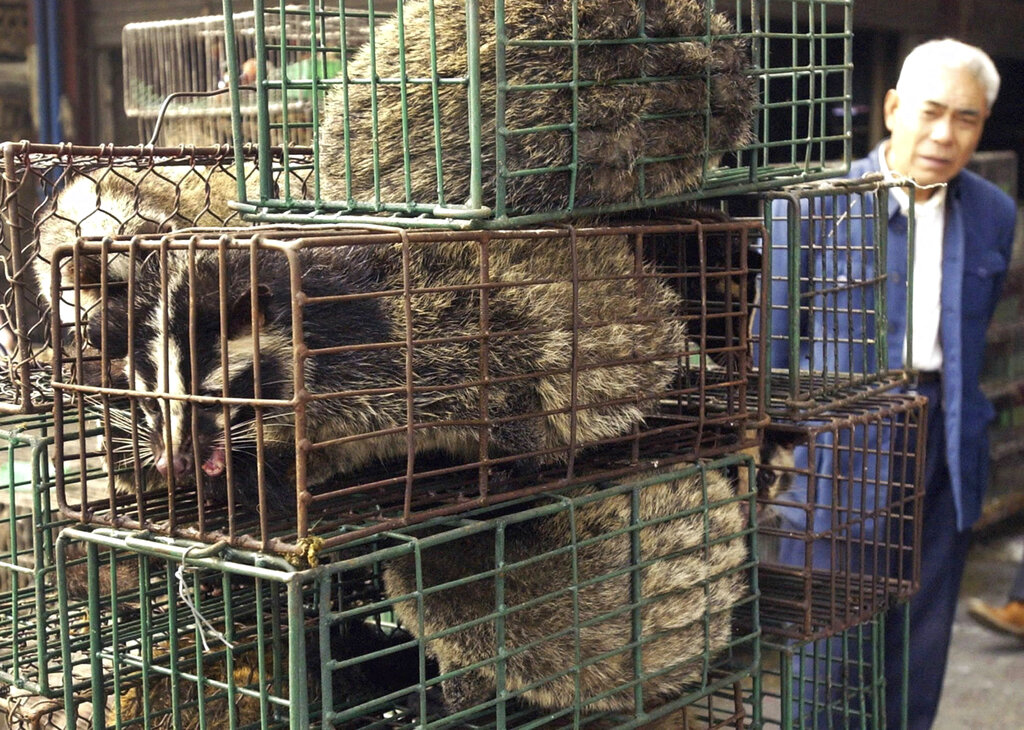 Market at Heart of Virus Outbreak Sold Rat Meat Courthouse News Service