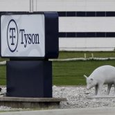 Tyson meat processor plant