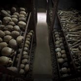 The skulls and bones of some of the people killed during the Rwandan genocide.