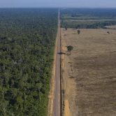A highway stretches between the Tapajos National Forest, left, and a soy field in Belterra, Para state, Brazil.
