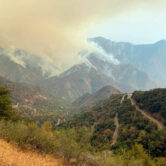Smoke plumes rise from the Paradise Fire in Sequoia National Park, Calif.