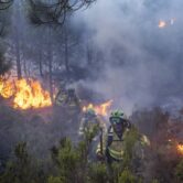 Forest firefighters work on a wildfire near the town of Jubrique in Spain.
