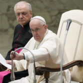 Pope Francis during his weekly general audience at the Vatican.
