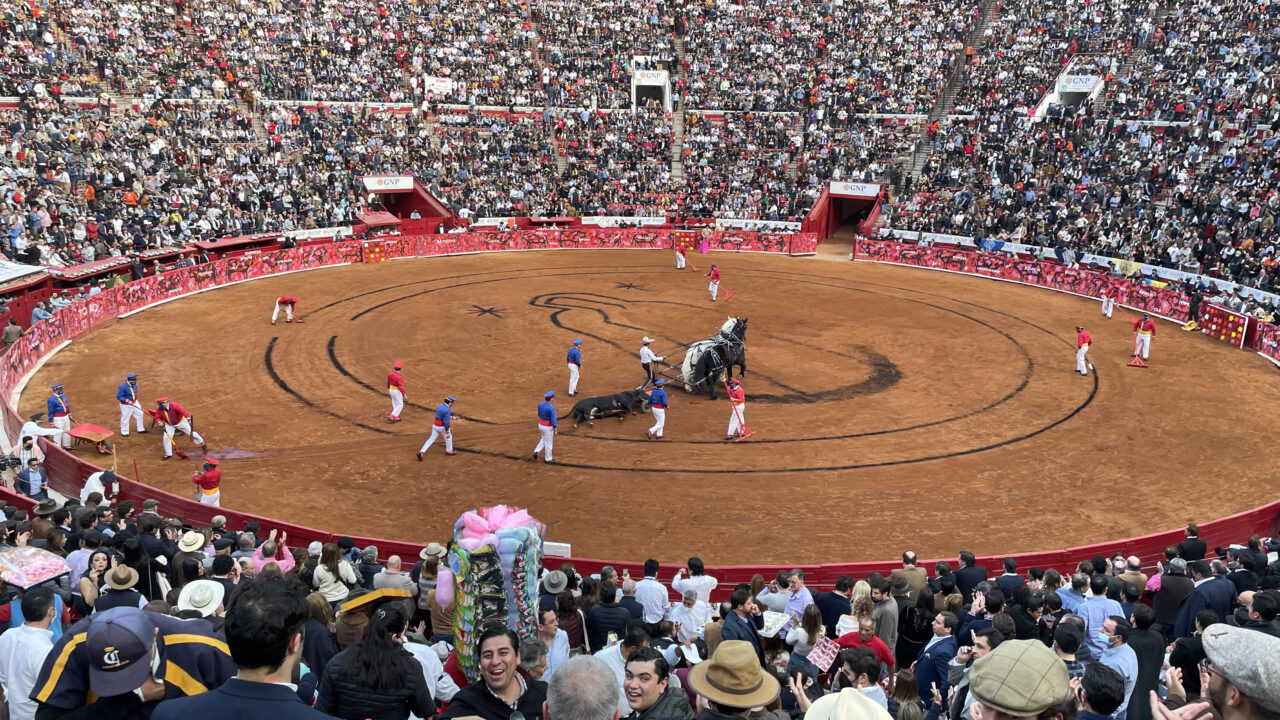 Mexico City Bullfight Schedule 2022 Bullfighting May Soon Be Banned In Mexico City. But Is The Sport Already  Dying? | Courthouse News Service