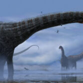Illustration of a large long-necked sauropod dinosaur in the late Jurassic period.