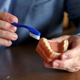 A dentist holds a model of teeth and a toothbrush.