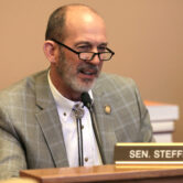 Kansas state Sen. Mark Steffen speaks during a Senate committee meeting.
