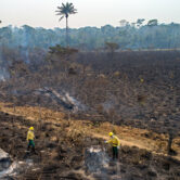 Workers from Brazil's environment agency check an area consumed by fire.