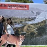 Groundbreaking ceremony for Wallis Annenberg Wildlife Crossing