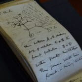 A view of the "Tree of Life" sketch in one of naturalist Charles Darwin's notebooks.