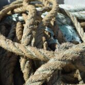 Rope recovered from an entangled North Atlantic right whale