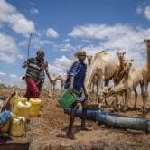 Herders supply water from a borehole to give to their camels during a drought in Kenya