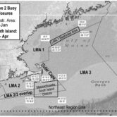 A map showing the lobster management areas off New England