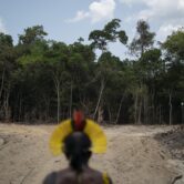 An indigenous chief looks at a path created by loggers in the Amazon.