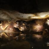 A replica of the Cosquer Cave in France.