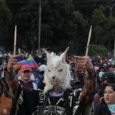 An Ecuadorian protester dressed as a llama