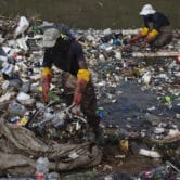 Volunteers help clean up a heavily polluted river in South Africa.