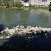 The ruins of an ancient Roman bridge in the Tiber River.