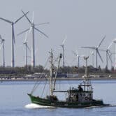 A fisher boat passes wind turbines in Germany.