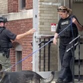 a Boston Police bomb squad officer and a K-9 unit officer depart a building.