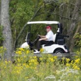 Donald Trump drives a golf cart.