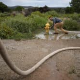 A man fills his water truck from a fire hydrant on a tribal reservation in Arizona.