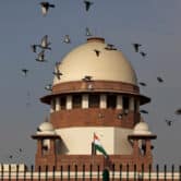 Pigeons fly past the dome of India's Supreme Court building.