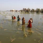 Pakistani women wade through floodwaters.