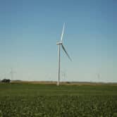 Group of windmills in rural Iowa shown amid crops in a farm field.