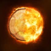 A composite image showing a tree ring and flames.