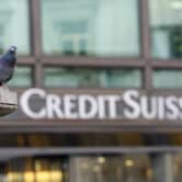 A pigeon rests near a building hosting offices of Credit Suisse bank in Milan.