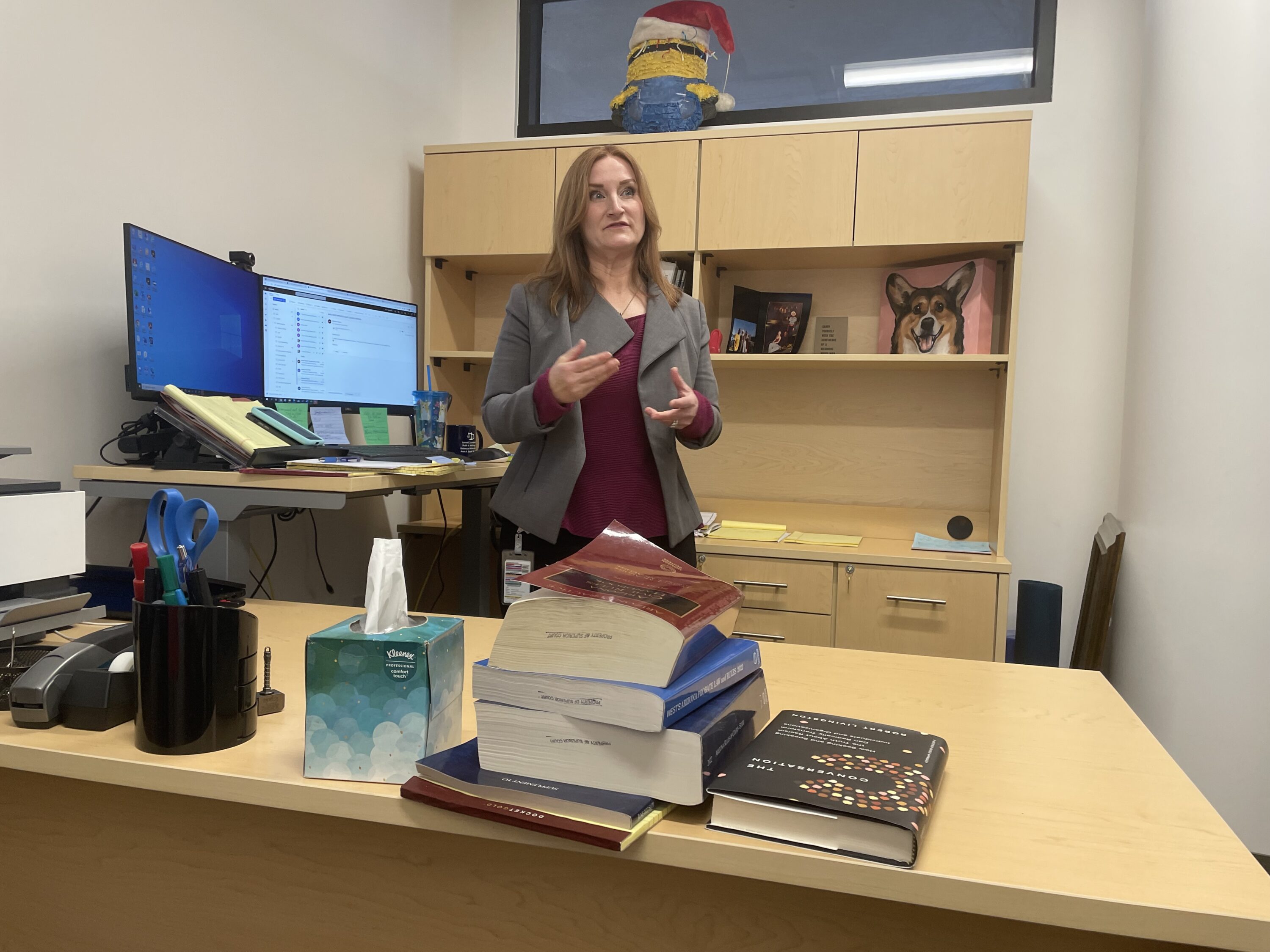 Anticipating Surging Cases Maricopa County Court Expands Mental Health 