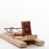 Chocolate on a mouse trap