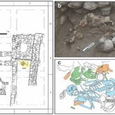 A bioarchaeological breakdown of a study involving a tomb found in modern Israel.