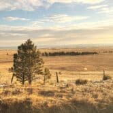 sunny skies over golden plains of Colorado Front Range as seen from the Winter Park Express