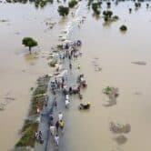 Dozens of people walk through floodwaters after heavy rainfall in Nigeria.
