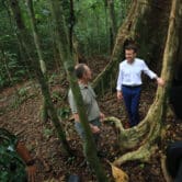 People, including Emmanuel Macron, talk while standing in a forest in Gabon.