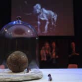 A cultured meatball is covered by a glass case during an event at a museum in Amsterdam.