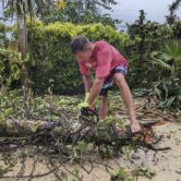 A man uses a chainsaw on a fallen tree in Port Vila, Vanuatu.