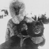 In this black and white photo, Gunnar Kaasen holds his dog Balto while kneeling in the snow.