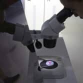 A person looks through at a computer chip through a microscope.