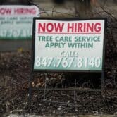 A hiring sign for tree care service work in Wheeling, Illinois.