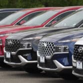 Several 2022 Santa Fe SUVs at a Hyundai dealership.