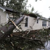 Two people walk around a single-story house that a tree crashed into.