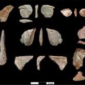 Various ancient stone tools discovered in Greece.