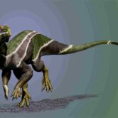 Illustration of the dinosaur Iani Smithi