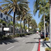 palm trees line Rodeo Drive