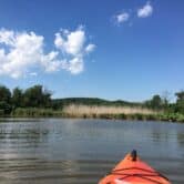 A photograph shows the tip of an orange kayak on the Anacostia River, seen in the background.